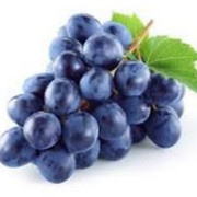 vinograd vinogradov